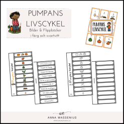 Pumpans livscykel