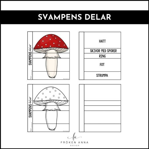 Svampens delar