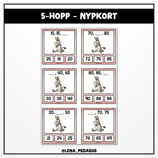 5-hopp - nypkort