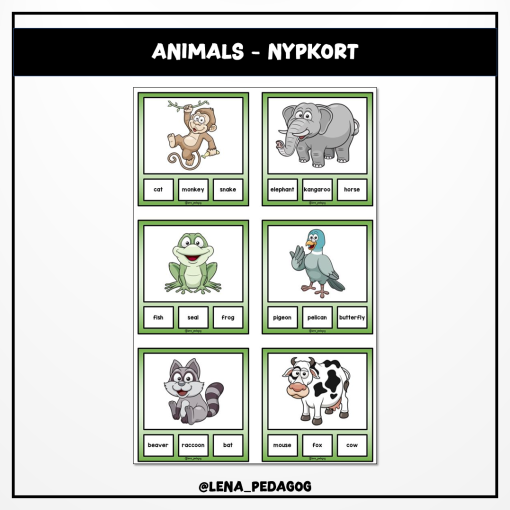 Animals - nypkort