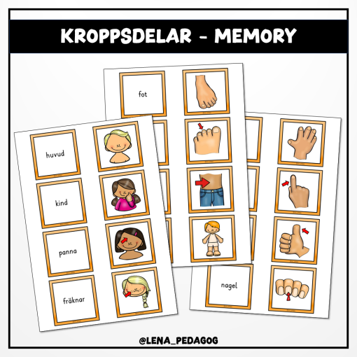 Kroppsdelar - memory
