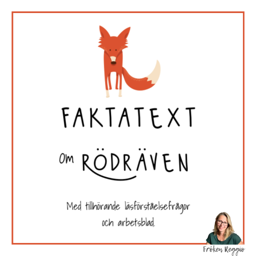 Faktatext om rödräven med läsförståelsefrågor