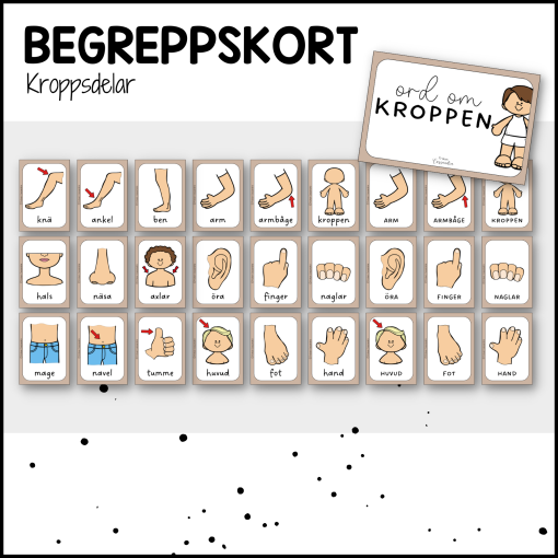 Begreppskort: kroppsdelar