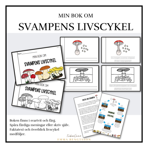 Min bok om svampens livscykel