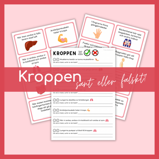 Kroppen - Sant eller falskt?