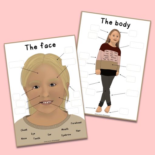 The body - ett stort engelska paket om kroppen