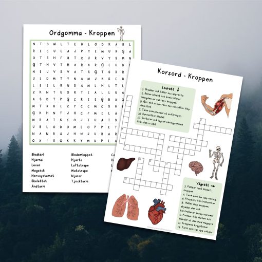 Kroppen – korsord, ordgömma, memory & begreppskort