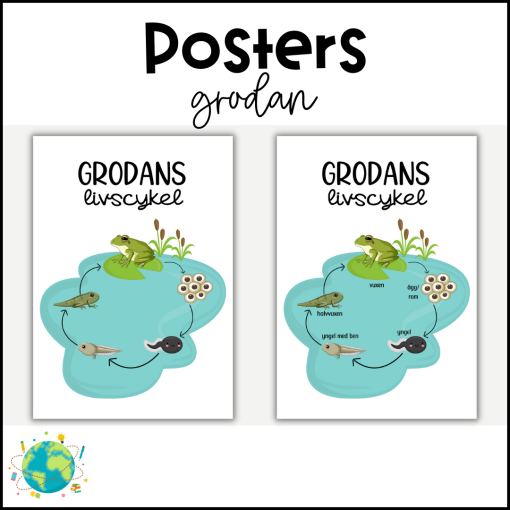 Posters - Grodans Livscykel