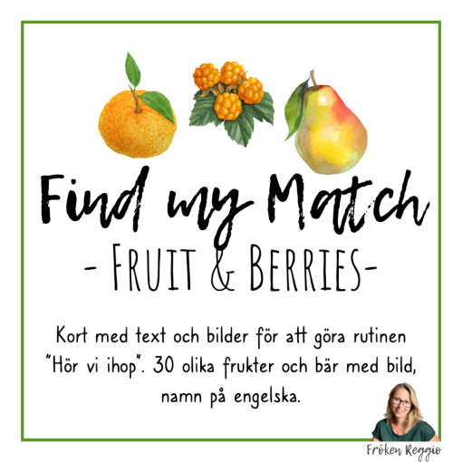 Find my match - Fruit and Berries