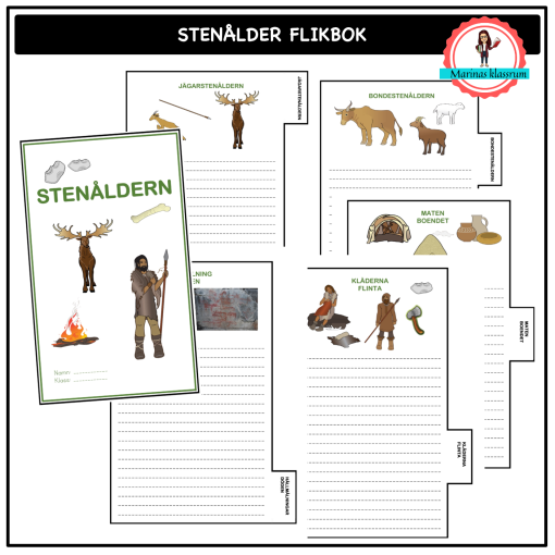 Stenåldern - flikbok
