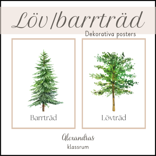 Lövträd/Barrträd - Dekorativa posters