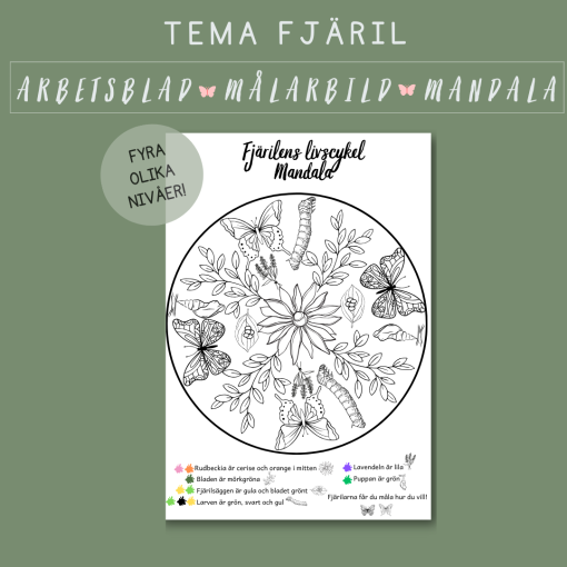 Fjärilens livscykel mandala