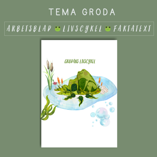 Grodans livscykel - Faktatext