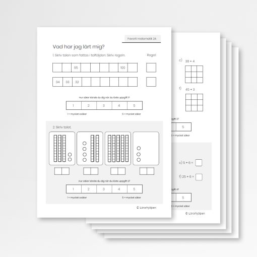 Favorit matematik 2A - terminstest