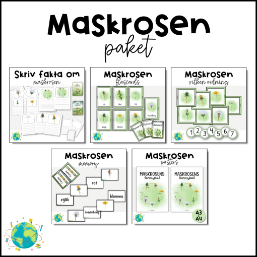 Maskrosen
