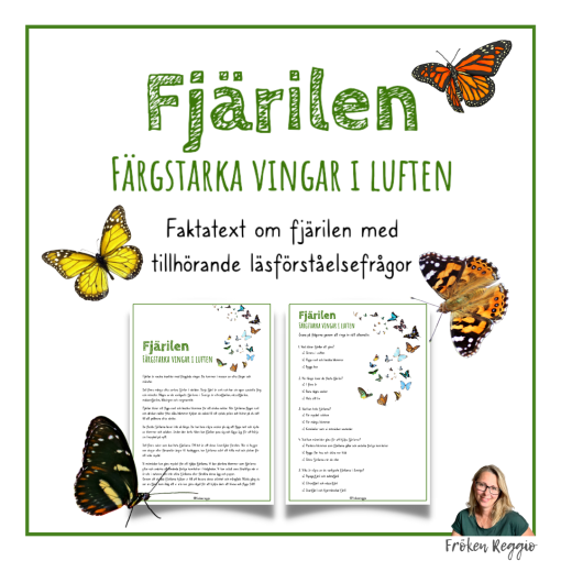 Fjärilen - Färgstarka vingar i luften