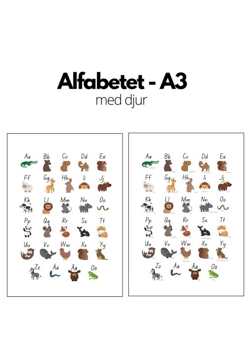 Alfabetet - A3 storlek - med djur