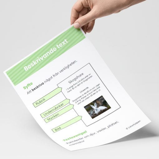 Textgenreposter - beskrivande text