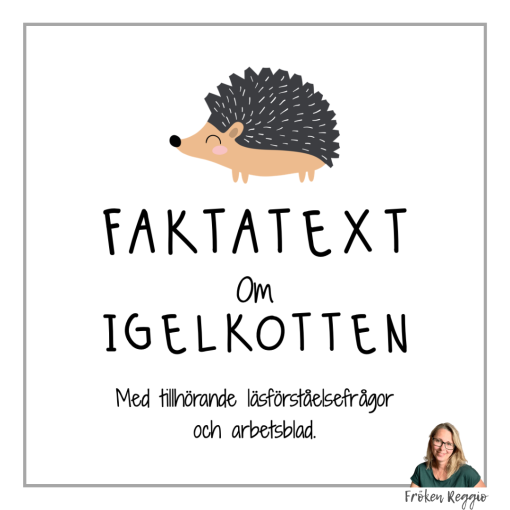 Faktatext om Igelkotten
