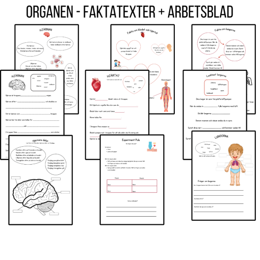 Organen och sinnen