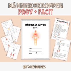 Prov + Facit - Människokroppen