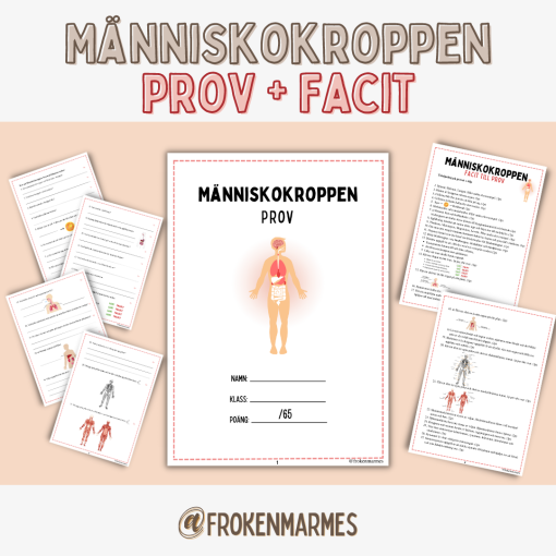 Prov + Facit - Människokroppen
