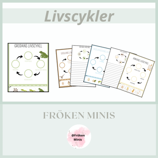 Livscykler