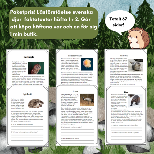 Paket med faktatexter läsförståelse svenska djur del 1 + del 2