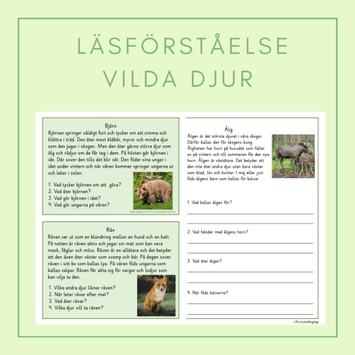 Läsförståelse vilda djur