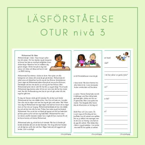 Läsförståelse otur nivå 3