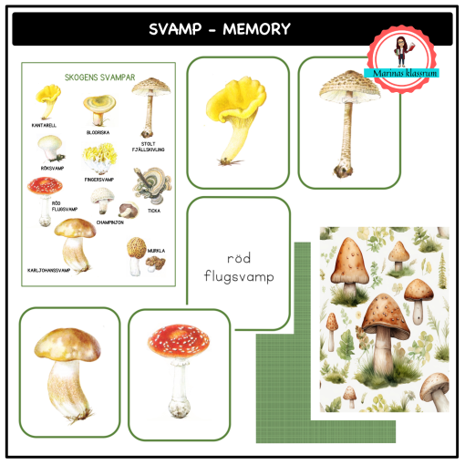 Svamp - memory