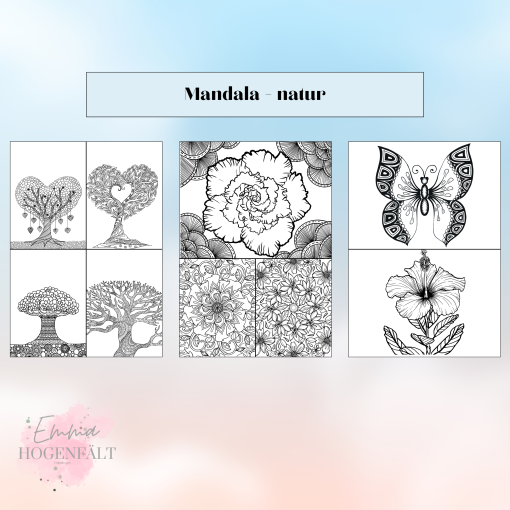 Mandala - natur