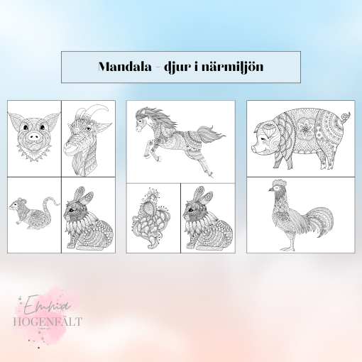 Mandala - djur i närmiljön