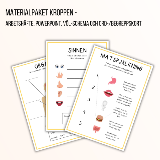 Materialpaket - kroppen