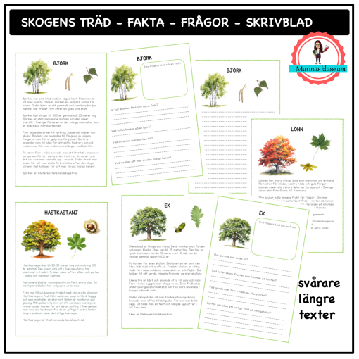 Skogens träd - svårare fakta - frågor - skrivblad