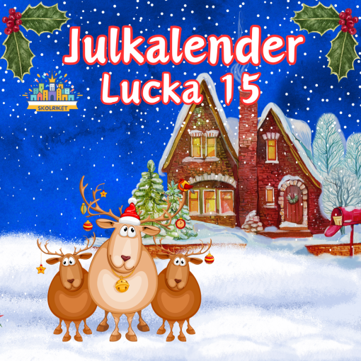Skolrikets Julkalender Lucka 15: Vad Kommer Näst?