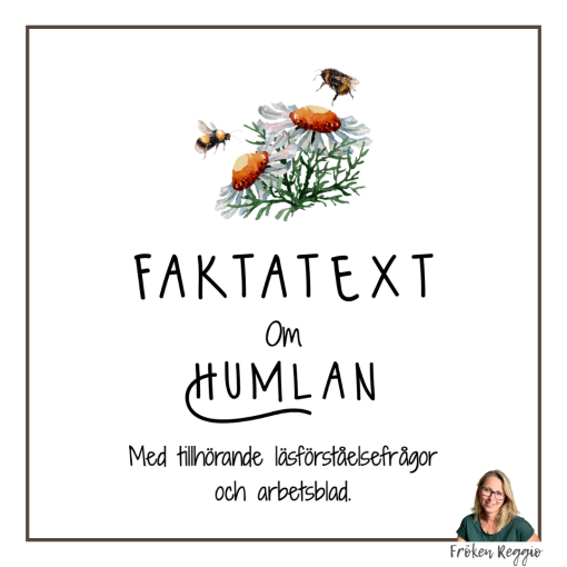 Faktatext om Humlan