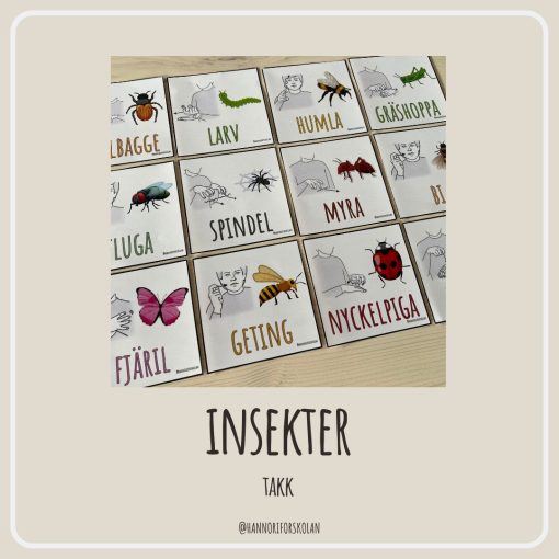 TAKK insekter