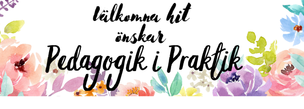 Pedagogik i Praktik