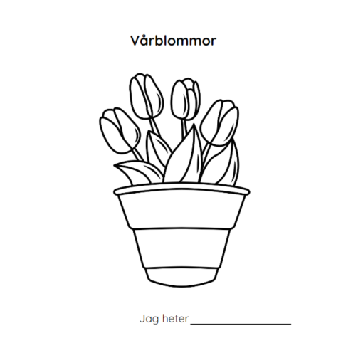 Vårblommor. Målarbilder