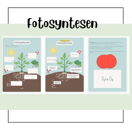 Fotosyntesen