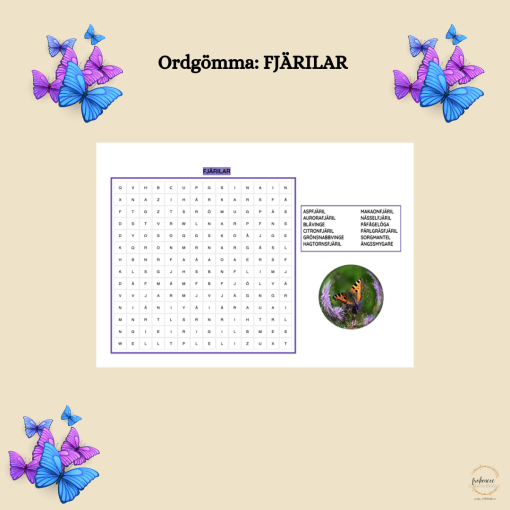 Ordgömma: FJÄRILAR