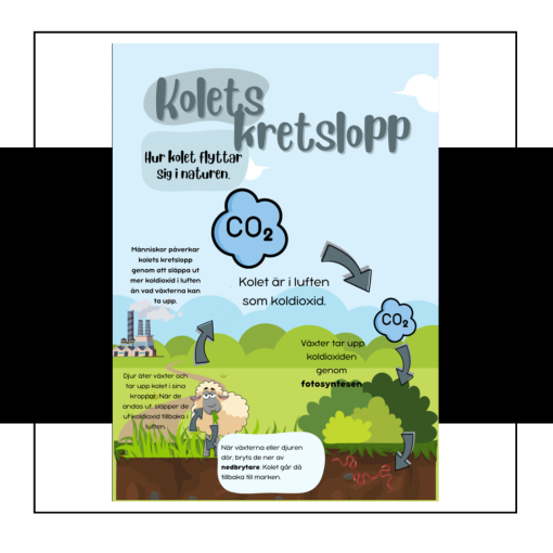 Kolets kretslopp