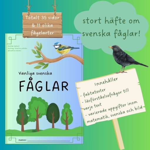 Vanliga svenska fåglar - stort häfte i NO & läsförståelse med tillhörande blandade uppgifter!