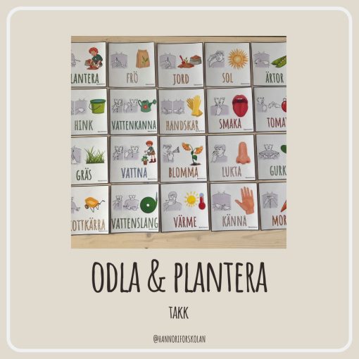 TAKK odla & plantera