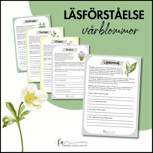 Läsförståelse vårblommor