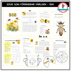 Om bin - åk 4-6 - djur som förändrar världen