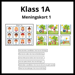 Klass 1A meningskort 1