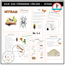 Om myran - åk 2-3 - djur som förändrar världen