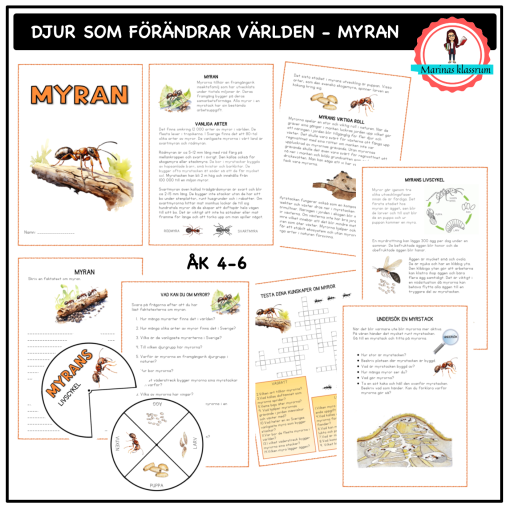 Om myran - åk 4-6 - djur som förändrar världen
